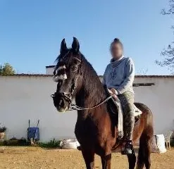 Mira, 31